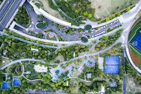 什么是“时间贴现扭曲”？解析赌局中的短视决策。（“时间贴现偏差”是什么？透视赌局中的短视决策）